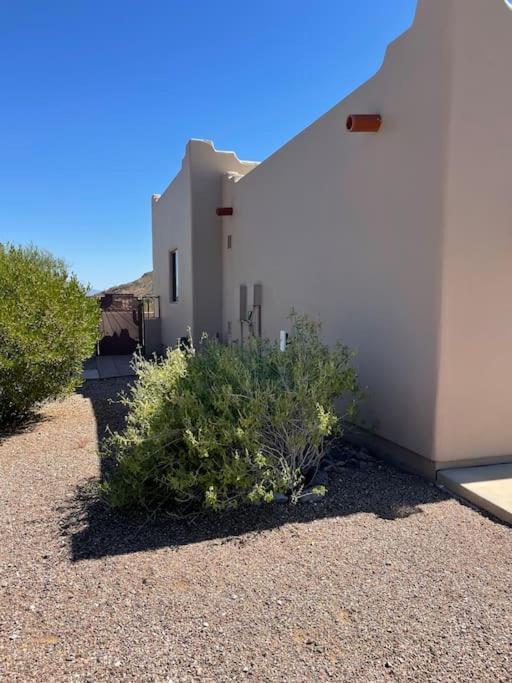 Tucson Mnt Foothills Saguaro Bliss Villa Eksteriør bilde