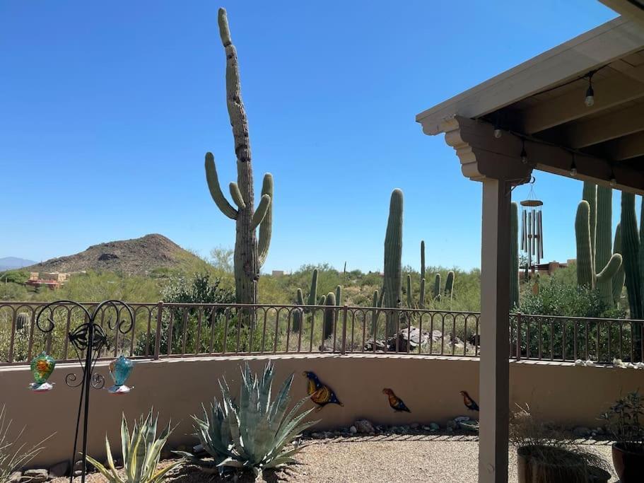 Tucson Mnt Foothills Saguaro Bliss Villa Eksteriør bilde