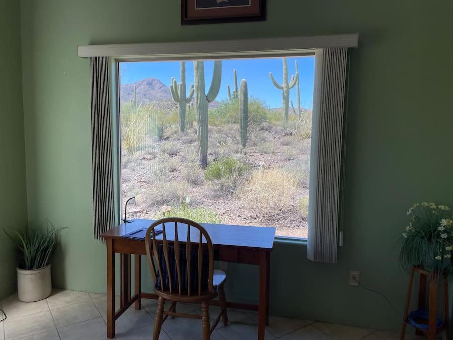 Tucson Mnt Foothills Saguaro Bliss Villa Eksteriør bilde