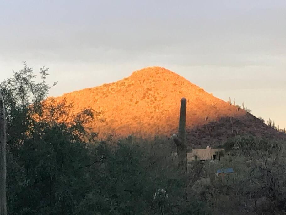 Tucson Mnt Foothills Saguaro Bliss Villa Eksteriør bilde
