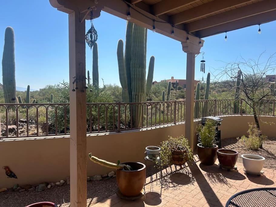 Tucson Mnt Foothills Saguaro Bliss Villa Eksteriør bilde